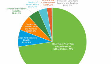 Mental health takes biggest hit in NH DHHS budget cuts