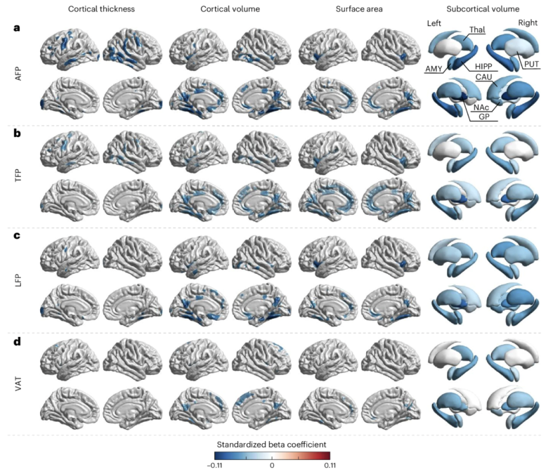Where You Carry Your Body Fat Directly Linked to Brain Aging in First-of-Its-Kind Study