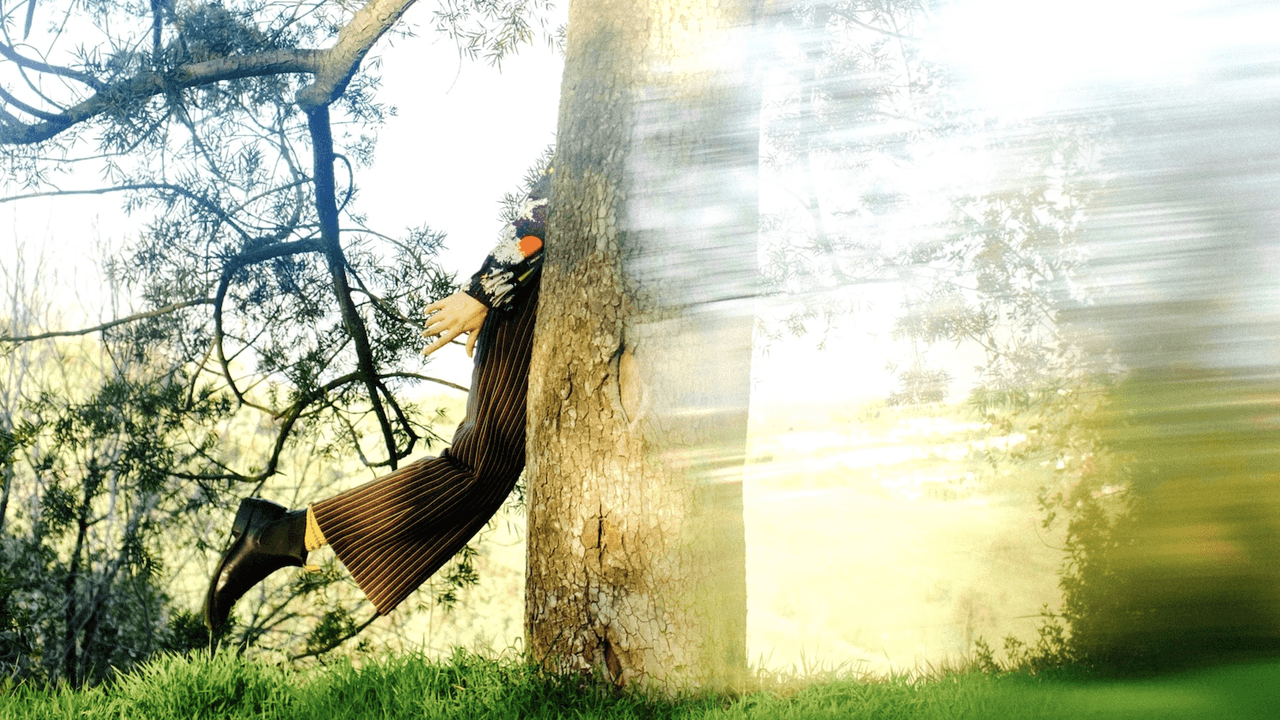 Shannon Lay : Past the Veil Album Review