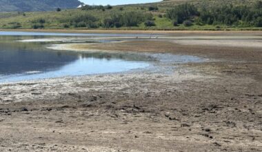 How one organization is working to help keep water in rivers during extreme drought