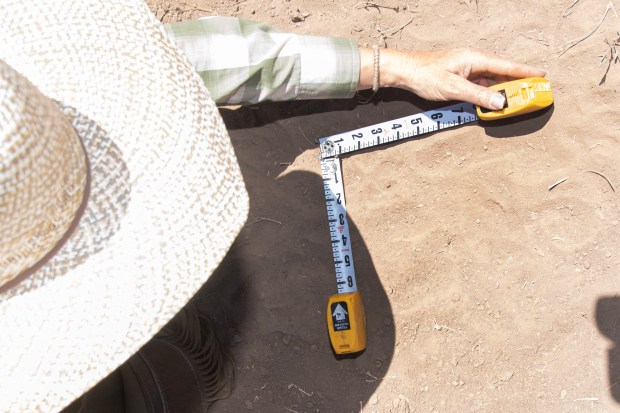 Christina Vander Berg, a range rider hired by advocate group Defenders of Wildlife, documents a possible wolf track that she determined to be a coyote track as part of her mission to protect livestock cattle from wolves near Collbran on June 17, 2026.(Photo by William Woody/Special to The Denver Post)