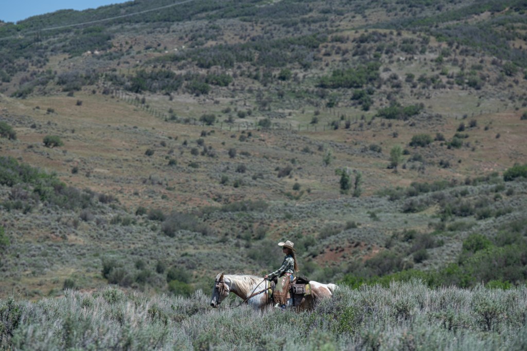 In Colorado's wolf reintroduction, range riders aim to keep the peace