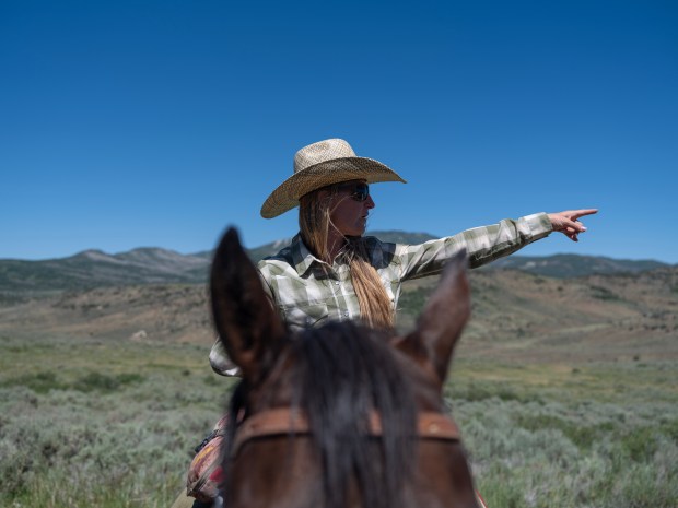 Christina Vander Berg looks for signs of wolf activity near Collbran on June 17, 2026.(Photo by William Woody/Special to The Denver Post)