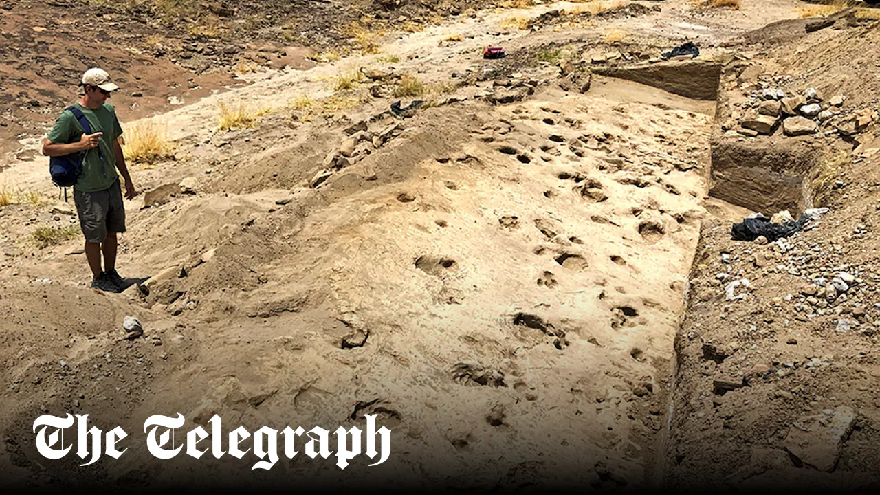 Million-year-old footprints show gender divide among our ancient relatives
