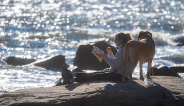 The animals are among CT's best conservation successes. It changed.