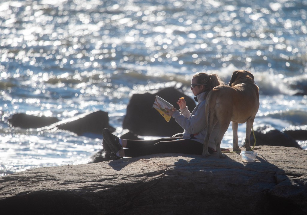 The animals are among CT's best conservation successes. It changed.