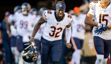 Bears
