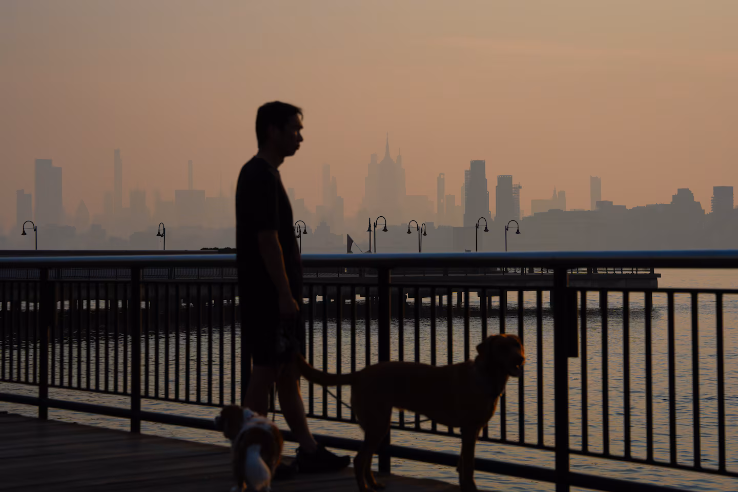 5 tips to keep your pets safe from wildfire smoke