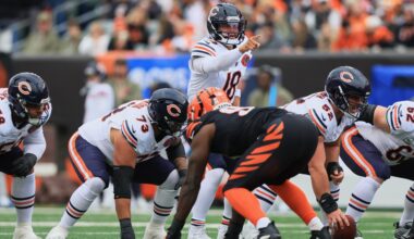 Bears