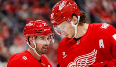 What is the next Red Wings general manager inheriting?