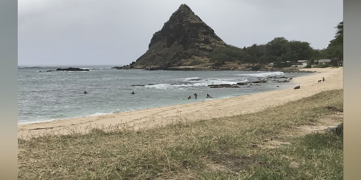 Shark reportedly seen eating turtle off West Oahu