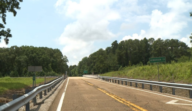 Bear sighting reported near Carroll-Henderson county line