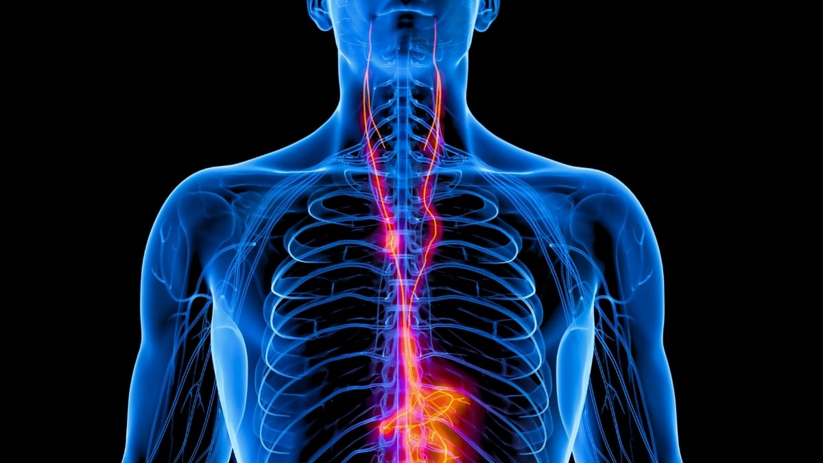 Vagus Nerve Stimulation Improves Severe Depression by 70%, Major US Trial Finds : ScienceAlert