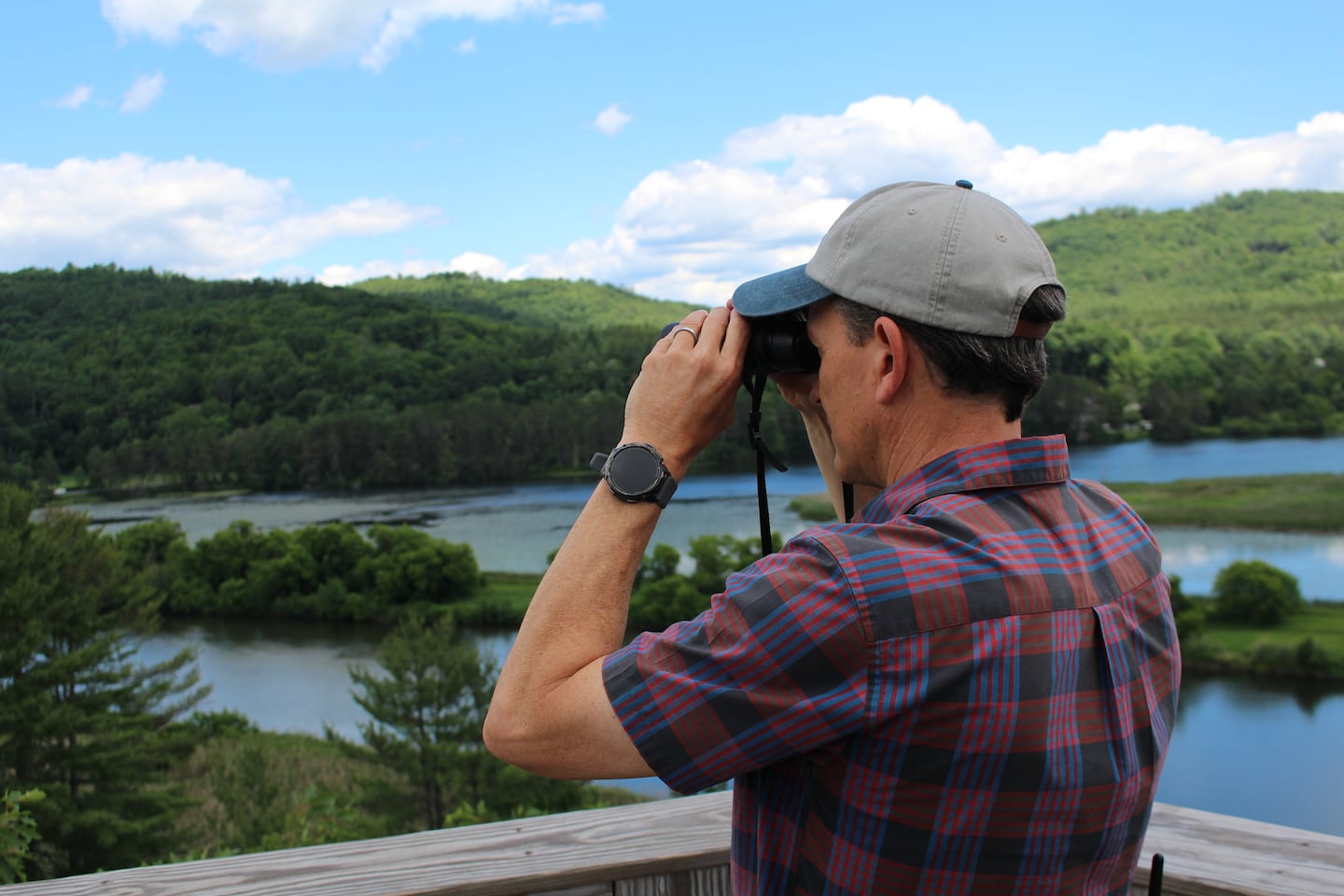 Alden Smith, executive director of the Vermont Institute of Natural Science, viewed the live-streamed eagle's nest from an observation tower on the organization's Quechee campus on Jun. 24.
