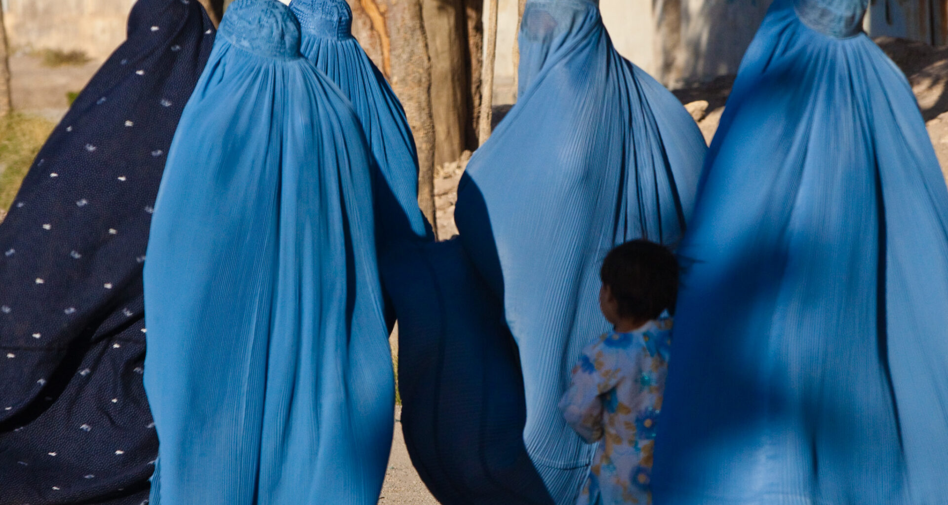 Rights group warns of increasing food insecurity in Afghanistan - JURIST