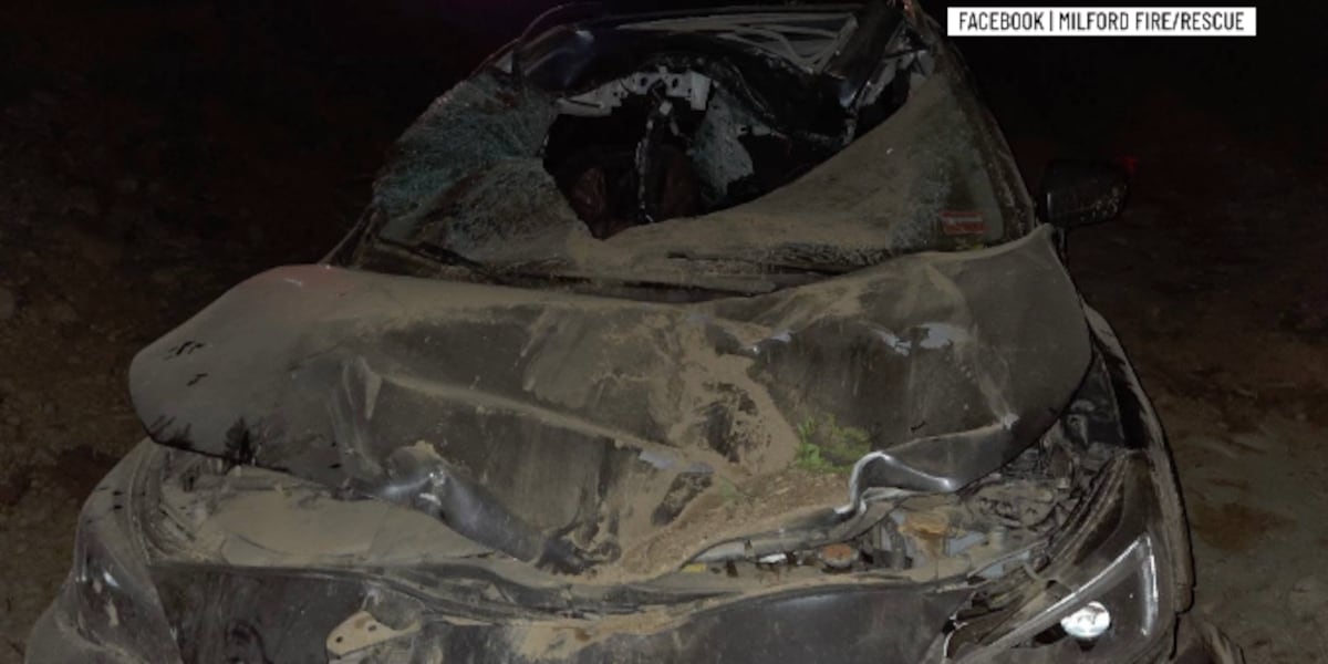Three trapped, two seriously injured after car strikes moose in Alton