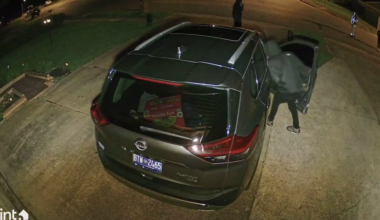 Whitehaven mom’s security camera captures attempted car break-in on family driveway