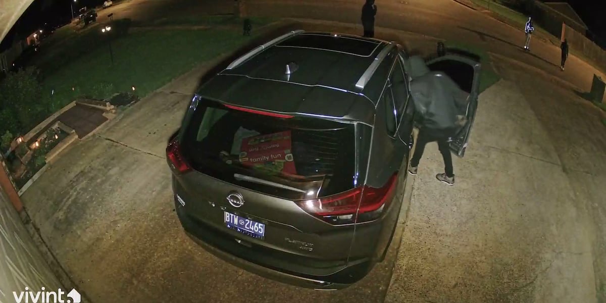 Whitehaven mom’s security camera captures attempted car break-in on family driveway