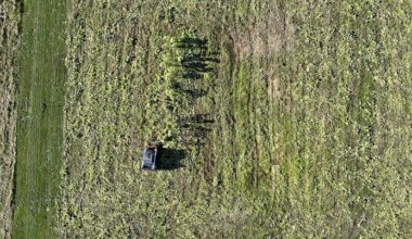 Removing ‘forever chemicals’ from farmlands — at a fraction of the cost