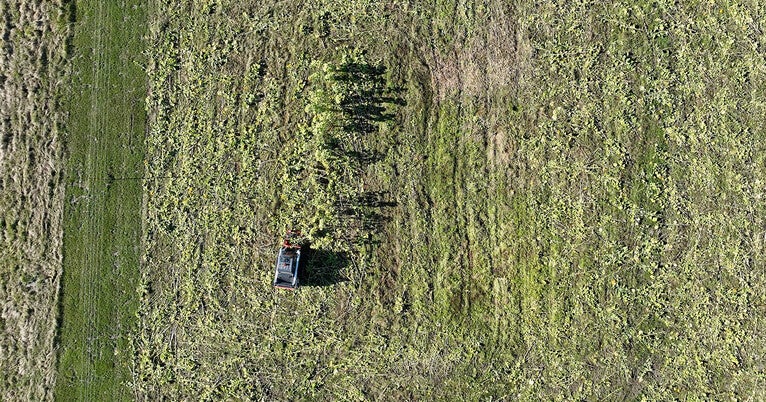 Removing ‘forever chemicals’ from farmlands — at a fraction of the cost