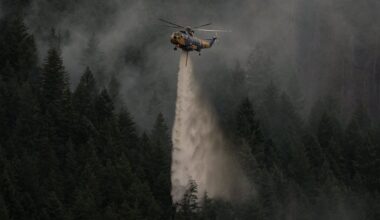 U.S. senator urges states to help Canada fight wildfires