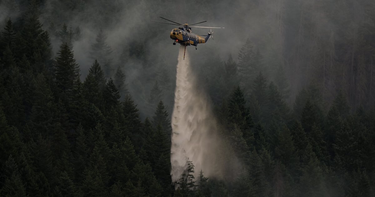 U.S. senator urges states to help Canada fight wildfires