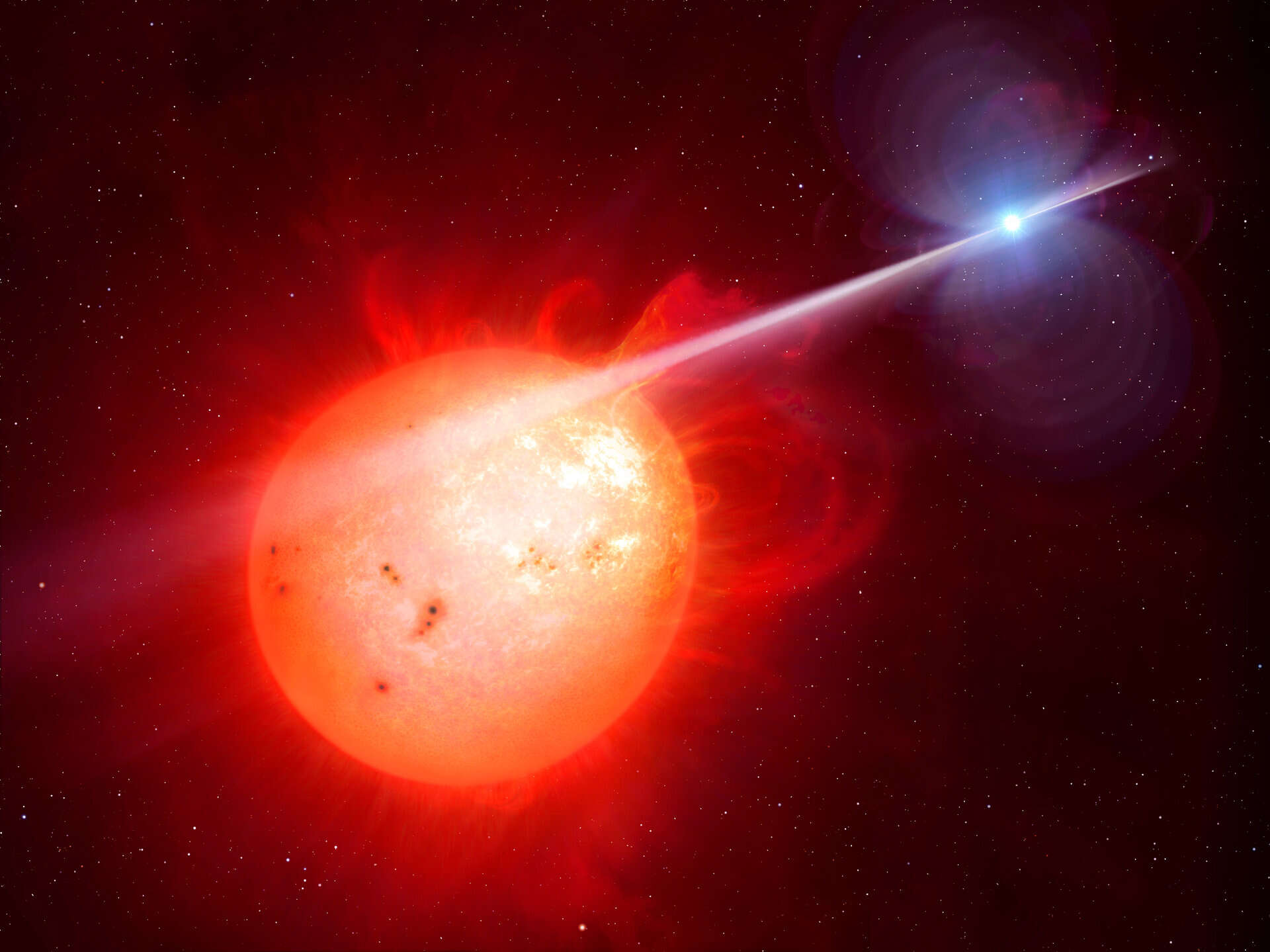 A Red dwarf star and a White dwarf star A Red dwarf star and a White dwarf star<br>