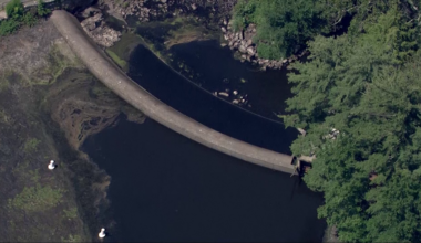 Charles River in Natick lowered for dam removal project
