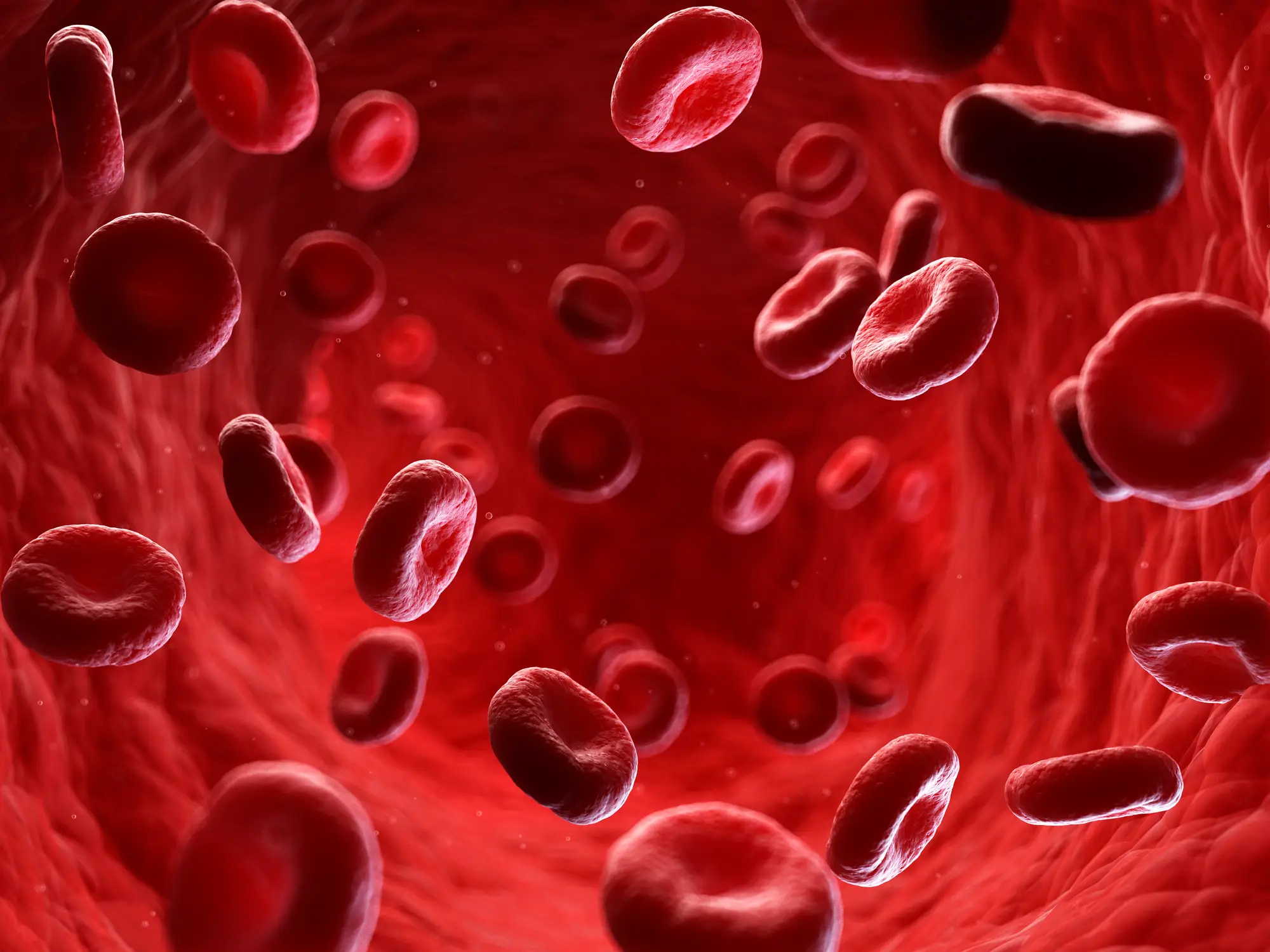 MDS is a type of cancer which originates in the bone marrow and impacts the body's red and white blood cells (Getty Stock Images)