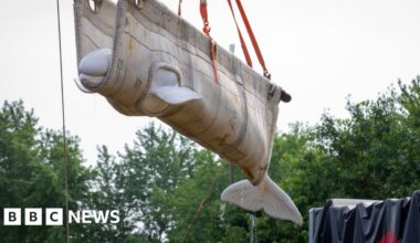 First beluga whales rescued from closed Marineland park arrive at new homes in the US