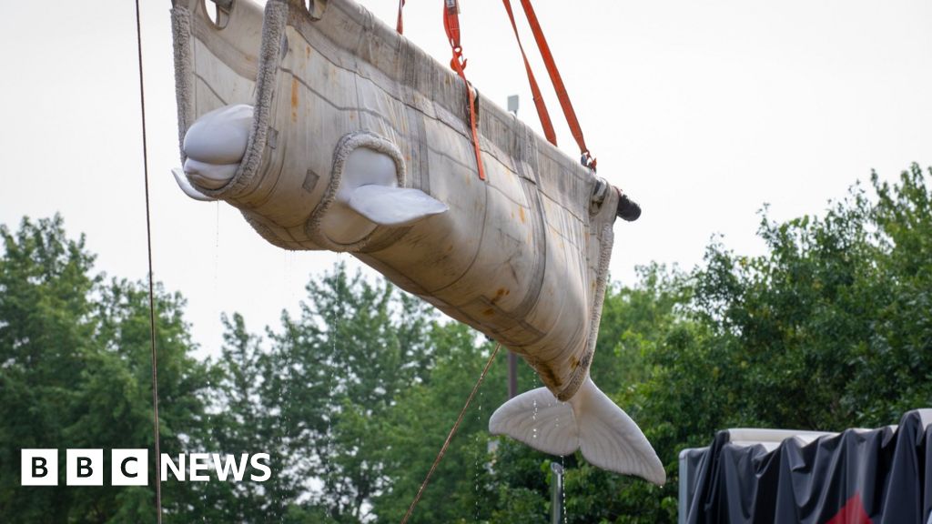 First beluga whales rescued from closed Marineland park arrive at new homes in the US