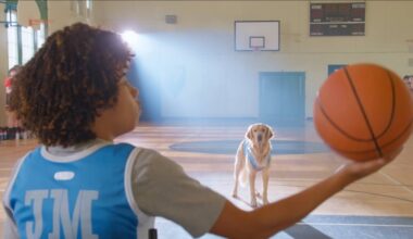 The rules haven't changed in the Air Bud Returns trailer