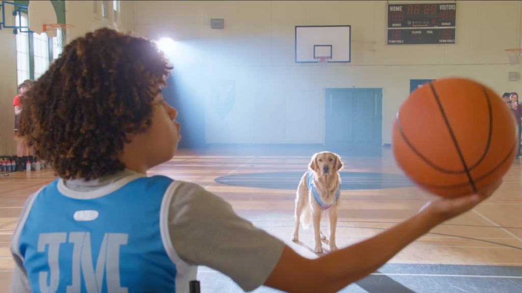 The rules haven't changed in the Air Bud Returns trailer