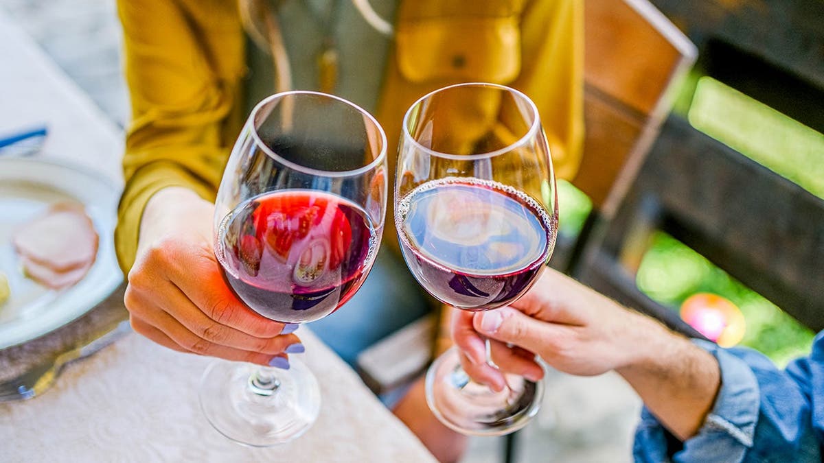 Two people cheers glasses of red wine.