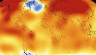 We’re in the middle of a heatwave, so why is the ‘cold blob’ causing so much concern?