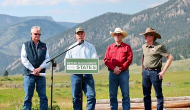 Feds, states announce cryptic change to grizzly bear rules