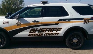 Deer Strike Leaves Litchfield Woman Unconscious