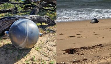 Authorities identify likely source of mysterious ‘space balls’ that washed up on Australia beach