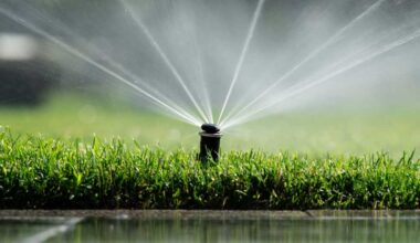 Central Iowa Water Works lifts lawn watering ban for residential customers