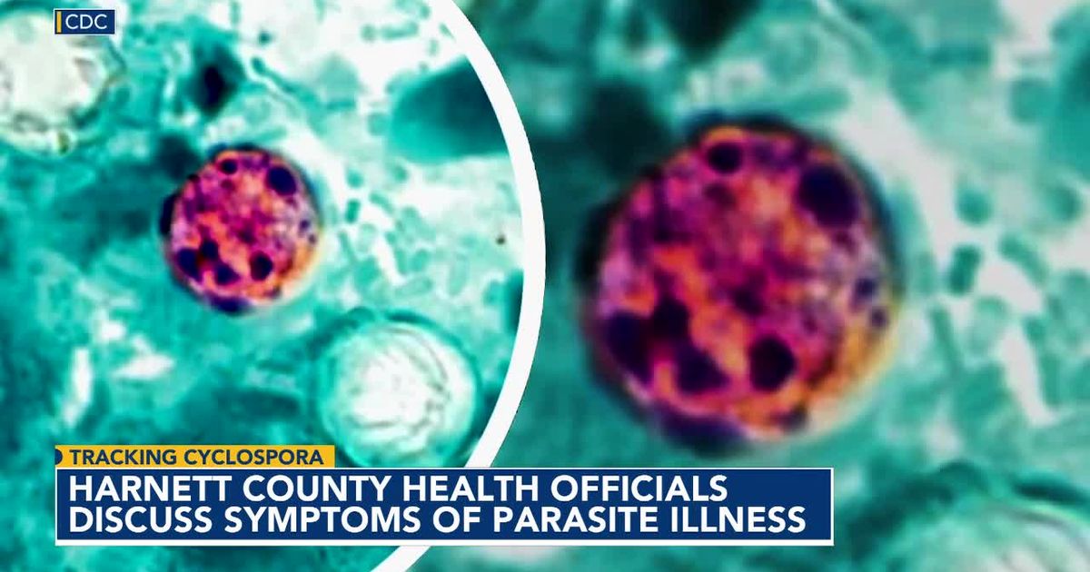 Tracking Cyclosporiasis: 30 more in Wake diagnosed with diarrhea-causing bug :: WRAL.com