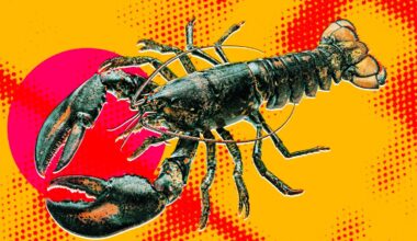 Biohackers Attempted Neurosurgery to Control a Lobster’s Nervous System and Give the Controls to OpenClaw, and How It Ended Will Tell You a Lot About the Ethics and Competence of AI Bros These Days