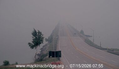 Michigan GOP representatives pen letter to Canada, demanding action following wildfire smoke in U.S.