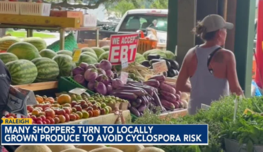 NC farmers see increased produce sales as cyclosporiasis outbreak continues :: WRAL.com