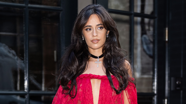 Camila Cabello heading to Taylor Swift and Travis Kelce's 2026 wedding
