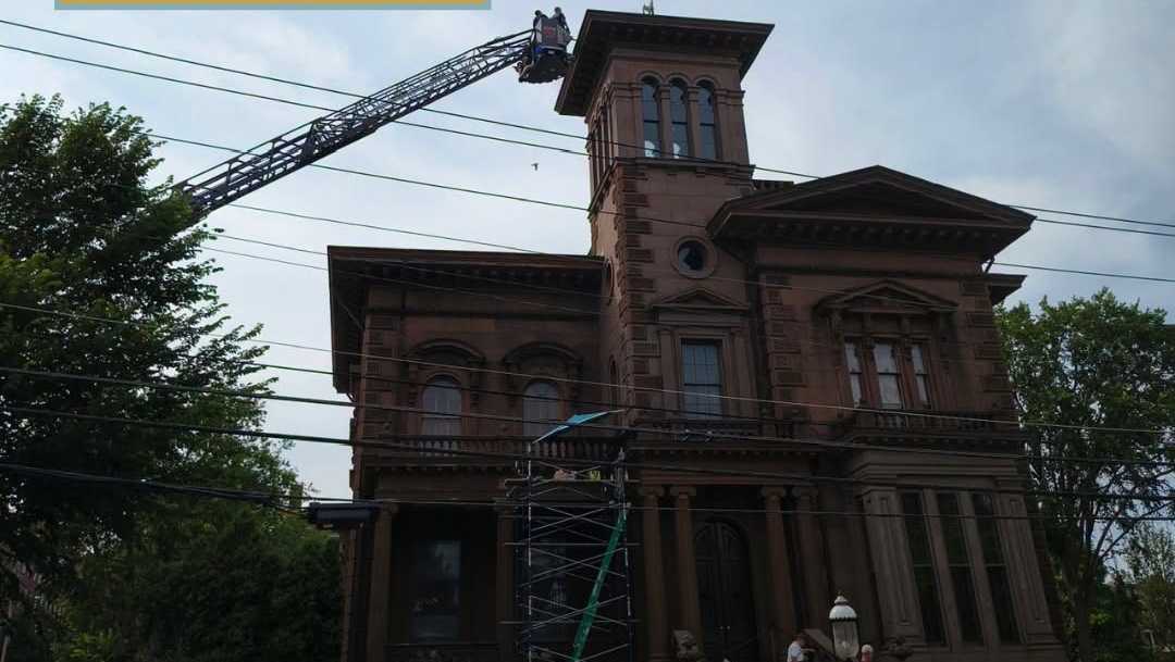 Seagull stuck on the roof of Victoria Mansion in Portland, Maine
