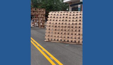 Pop-Up City brings architecture to life for Hampton Roads kids through creativity and play