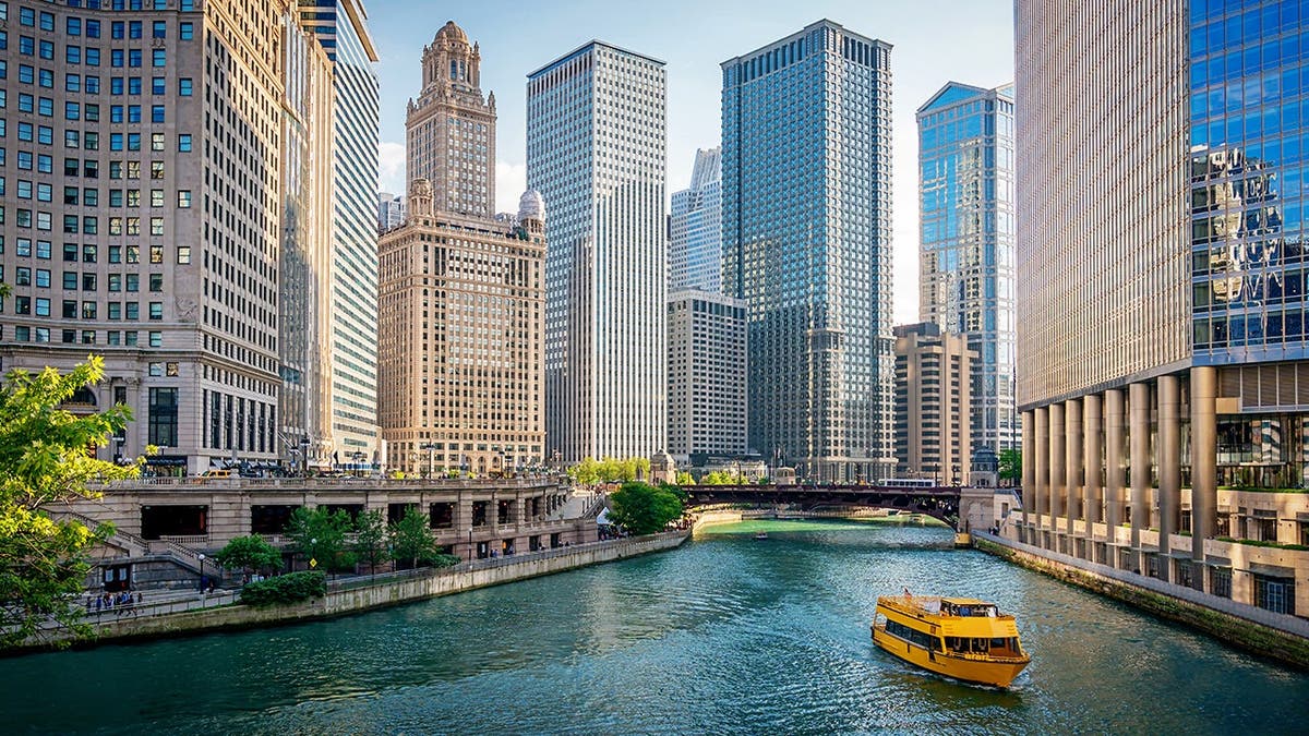 A view of Chicago.