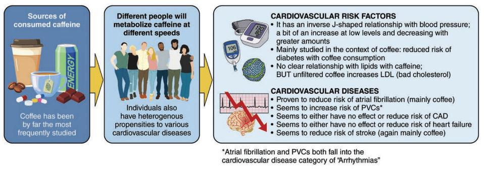 New Review From American Heart Association Reveals Optimal Daily Cups of Coffee For Health