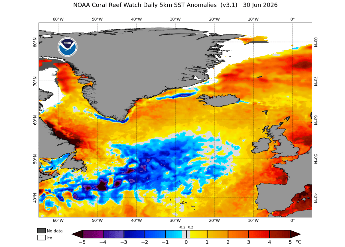 cold-anomaly-atlantic-united-states-canada-winter-impact-latest-noaa-crw-ocean-temperature-analysis-july-2026