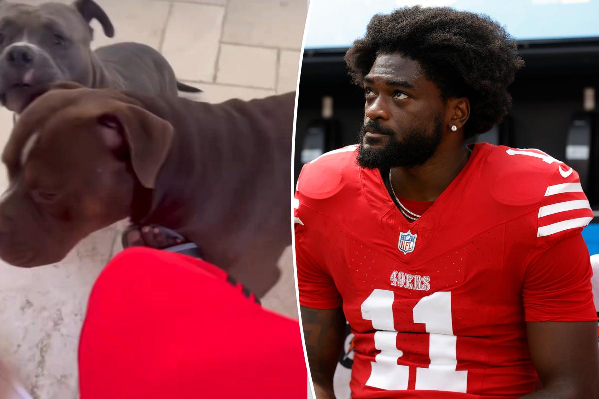 49ers' Brandon Aiyuk kicks dog's head in disturbing video